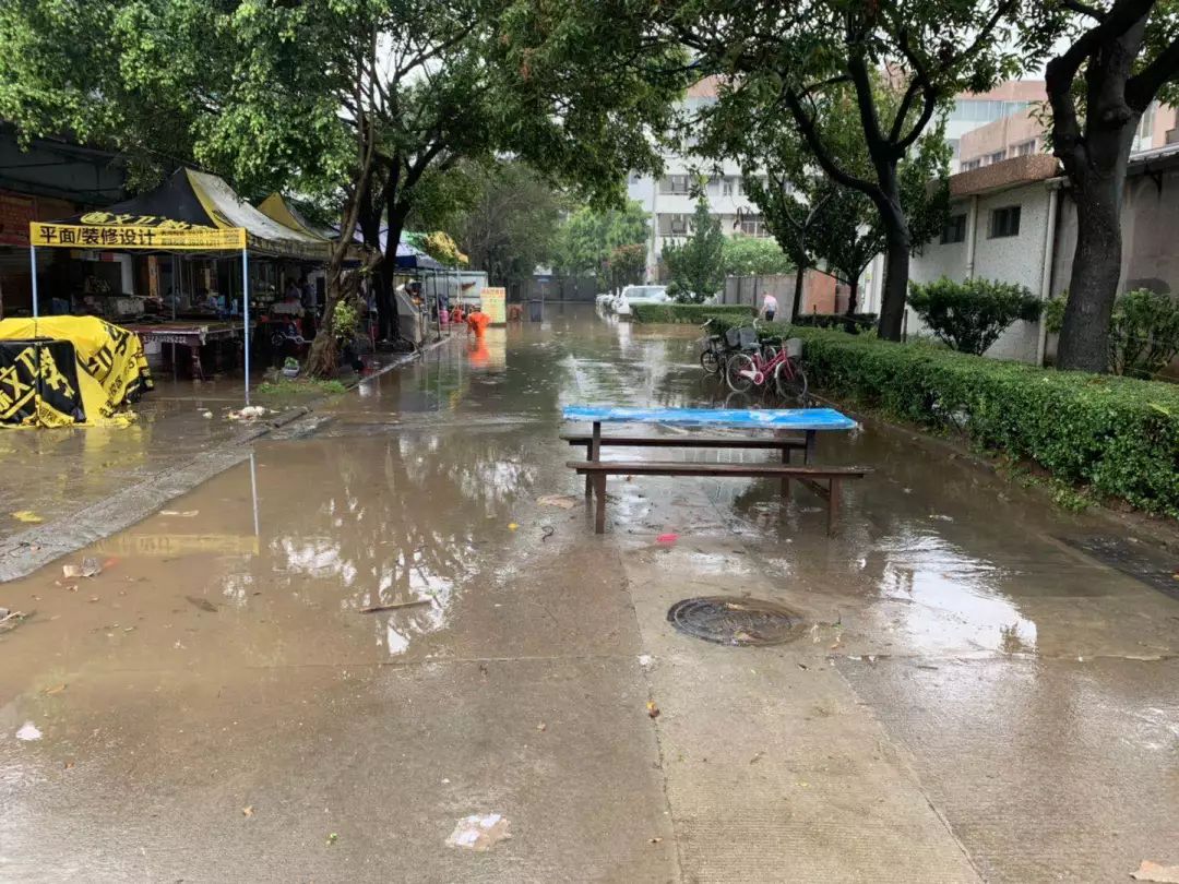梅雨发威，暴雨、雷电黄色预警高挂！上海今晨迎入夏以来最强降雨_视觉 _ 文汇网